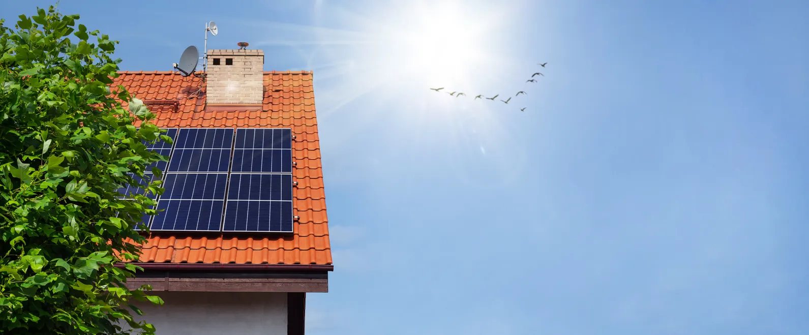 Seja bem-vindo ao blog do maior distribuidor de energia solar do Brasil
