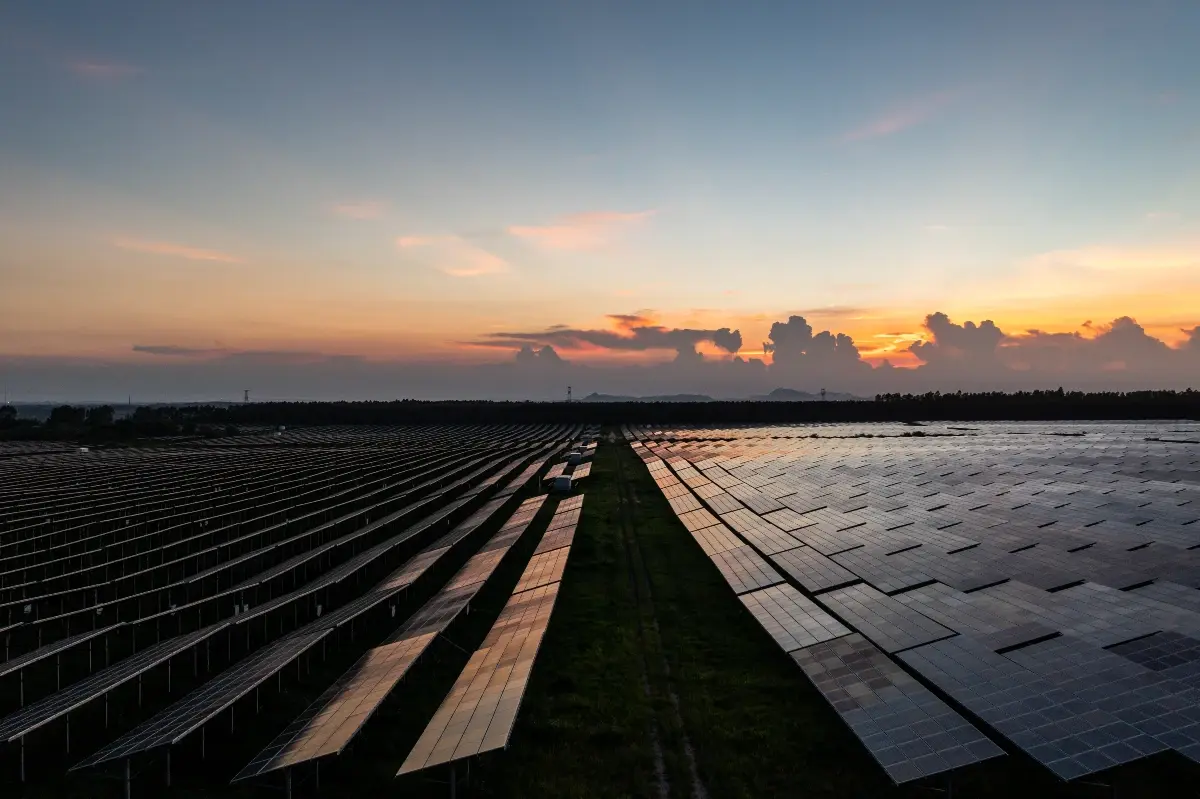 Global Carbon Council: o selo Diamond e a descarbonização